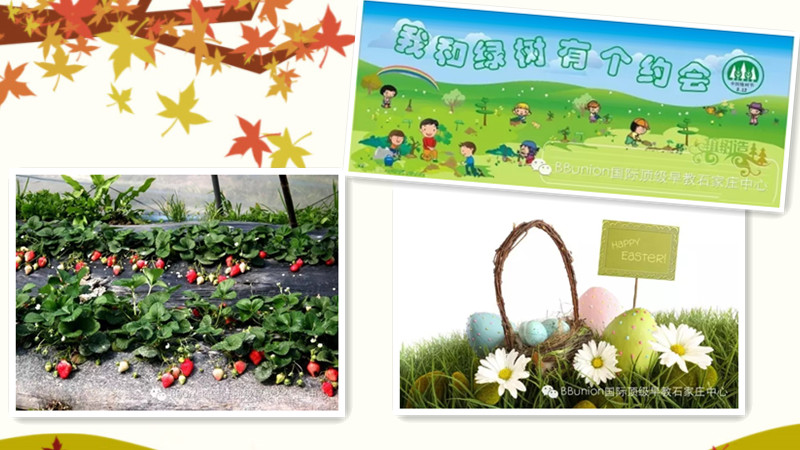 BBunion国际早教石家庄中心活动预告：乐享3月，乐享春天